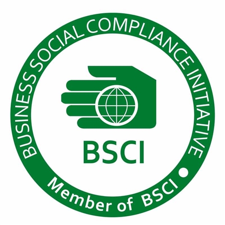 BSCI